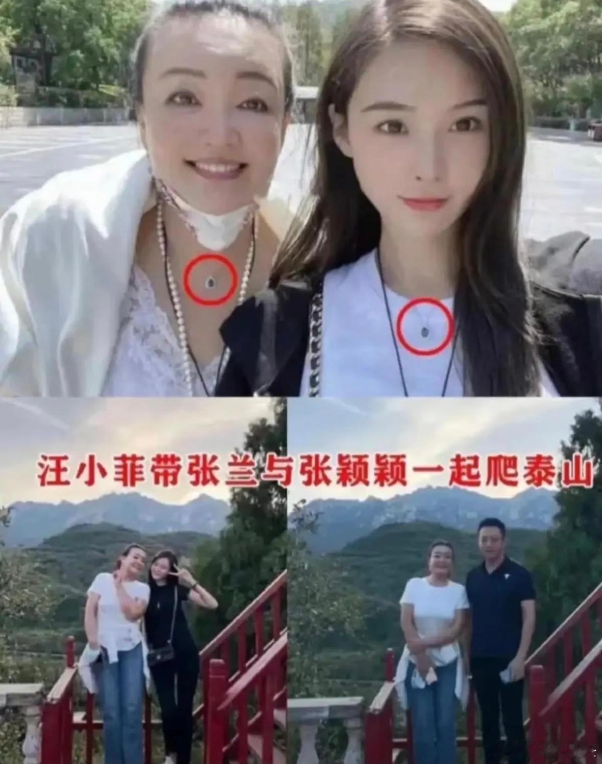 汪家又来矛盾，比八点档狗血剧还敢拍！
马筱梅直播一句“我从没插足别人婚姻”，直接
