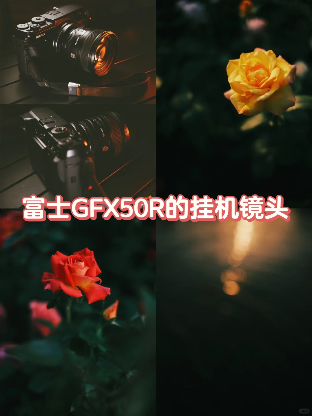 富士GFX50R的挂机镜头