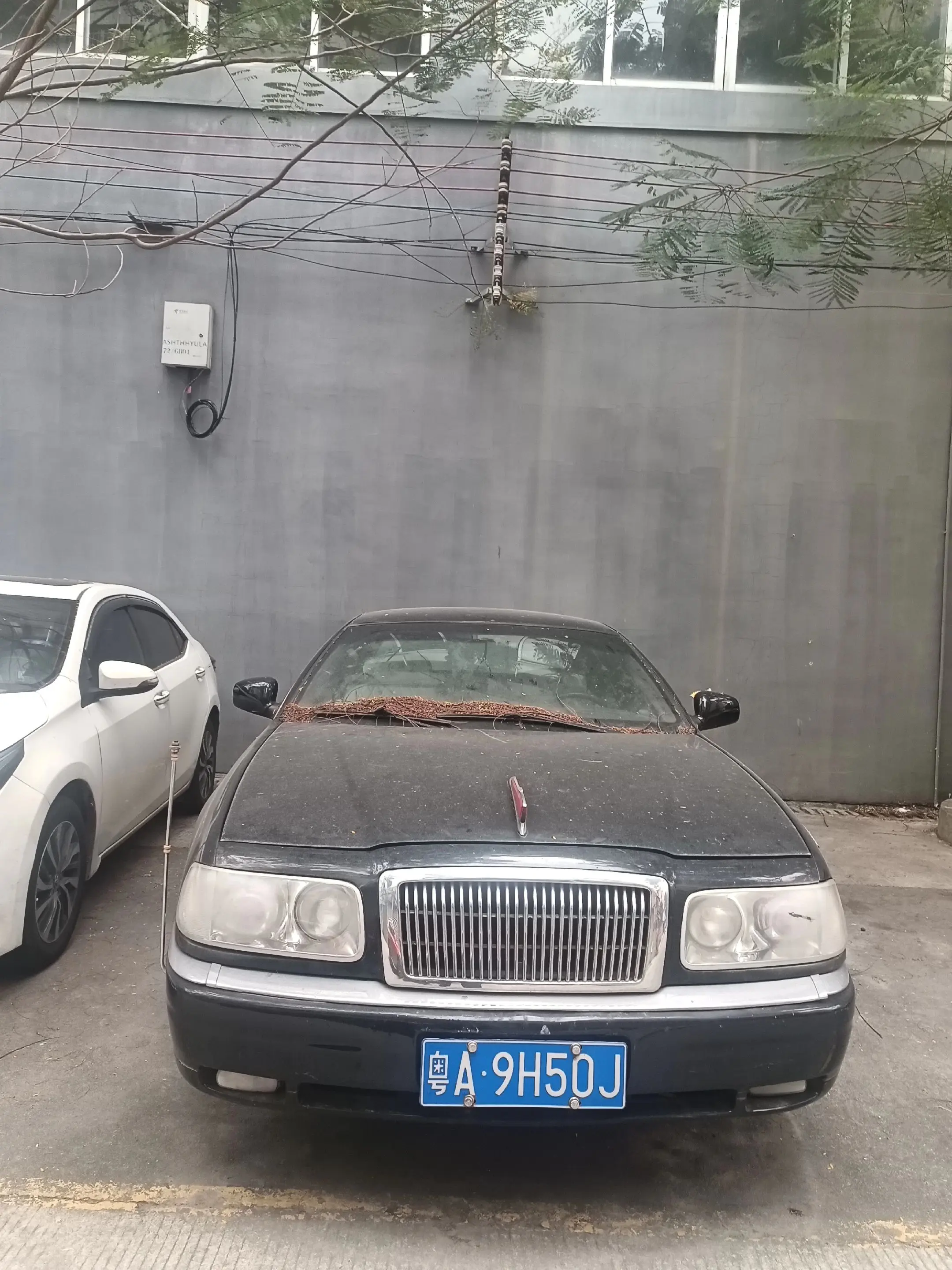 红旗 CA7460 民间存量极少是经典车收藏圈的硬通货  分享一下 谢谢