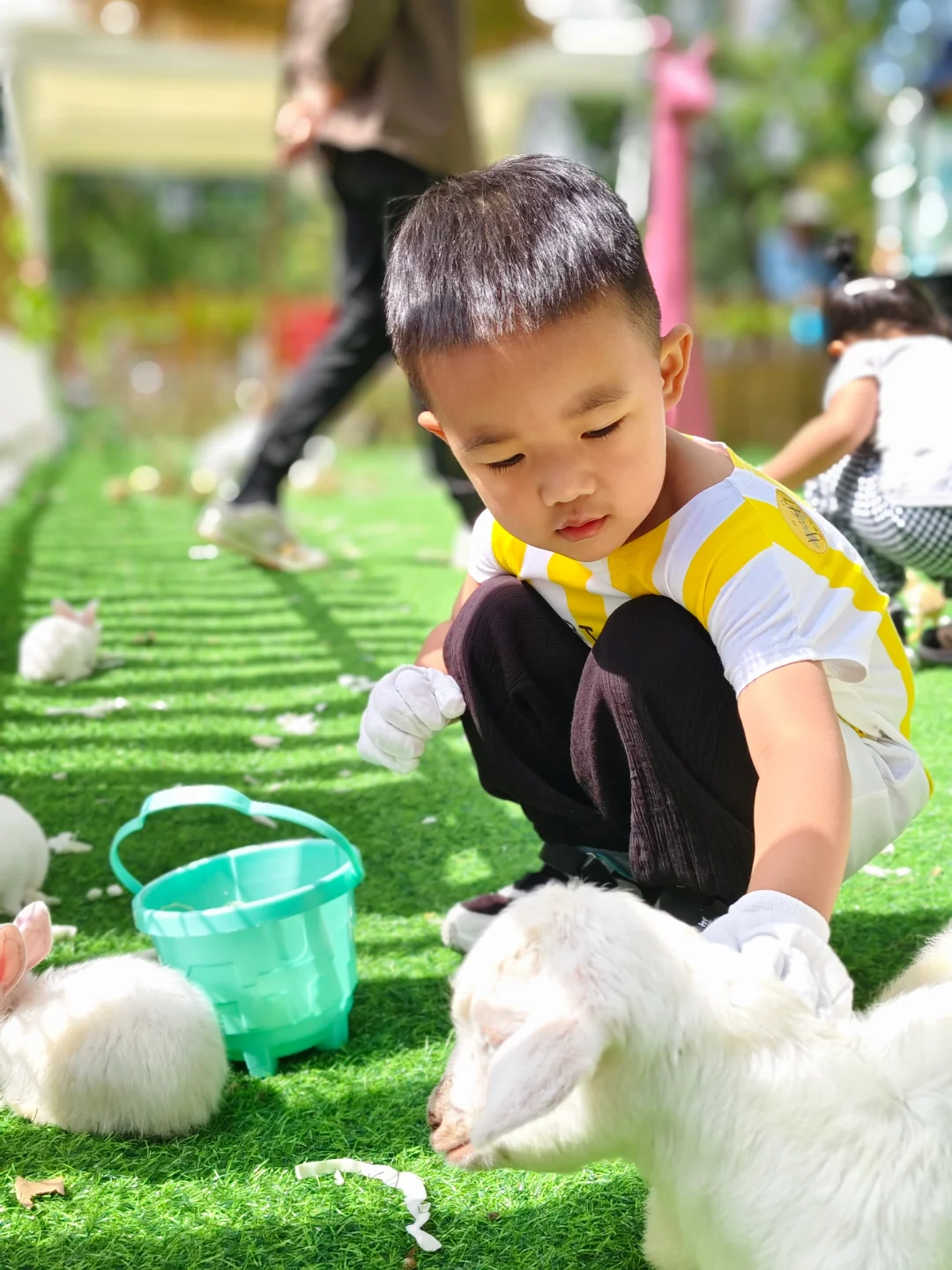 看到小鸡🐥两眼放光