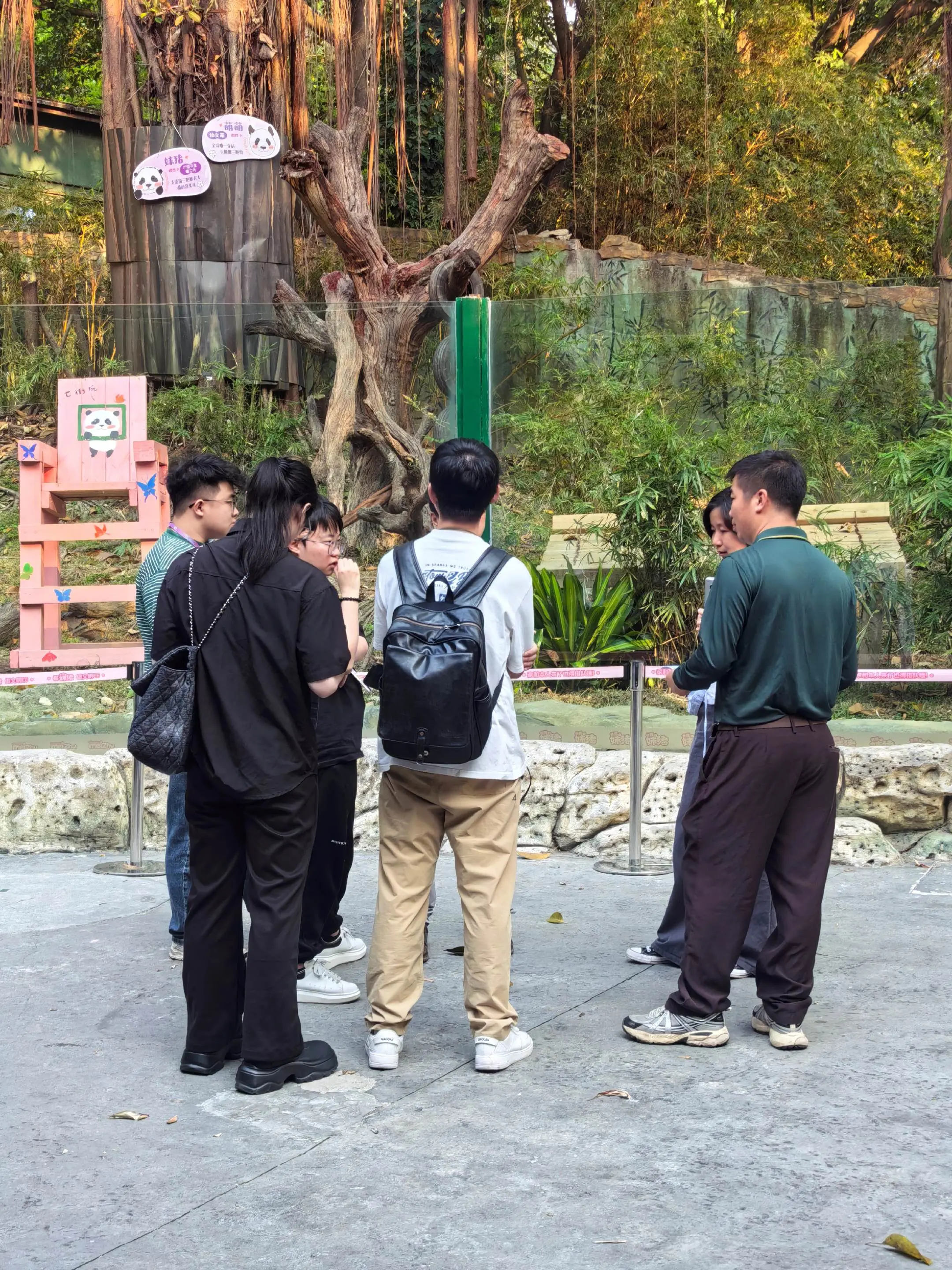 妹猪又接通告了吗？