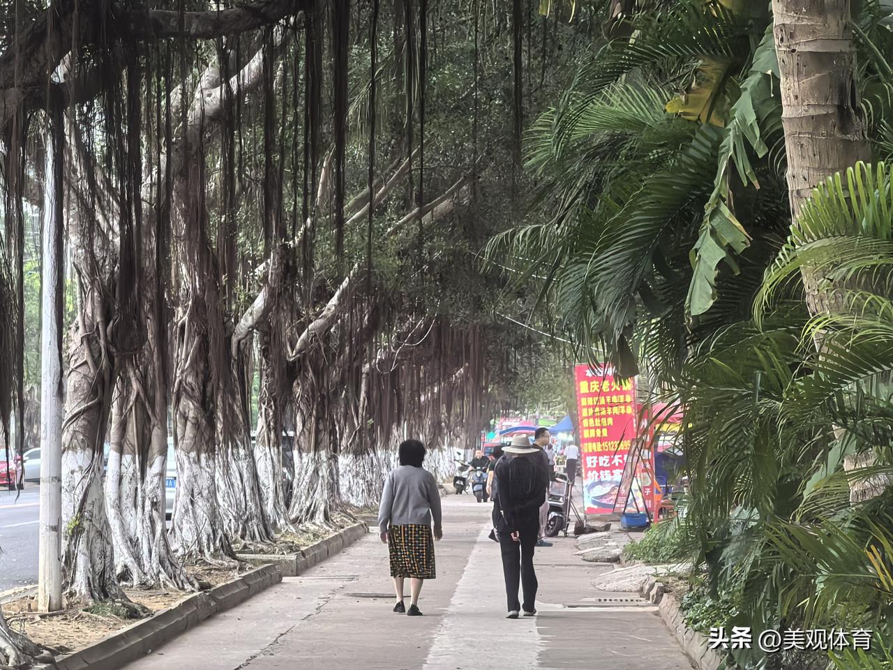航天椰林湾酒店前那条熟悉的人行道