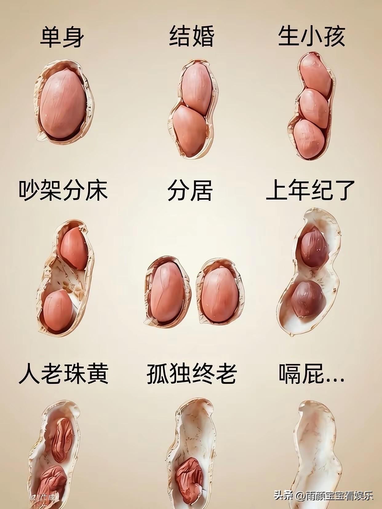 看到这图片，你领悟到了什么？