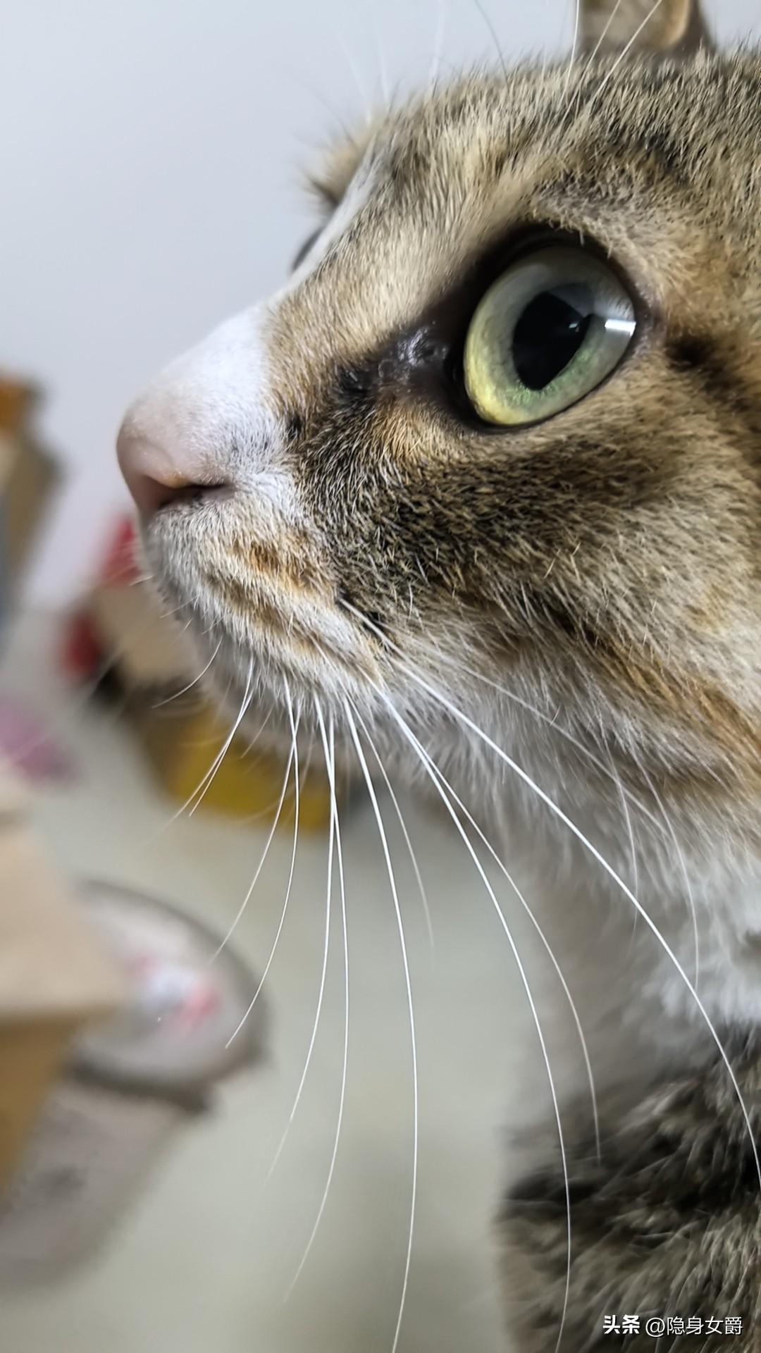 记得莫言的《生死疲劳》中有段母驴发情的描写。

说春天来了，空气中弥漫着丝丝缕缕