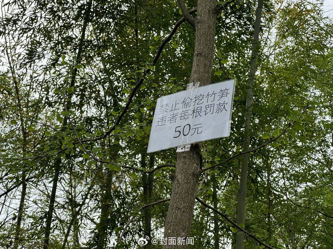 【#游客打野打起农家菜地的主意# 村民立牌“禁止偷笋”】春天到来后，成都有些年轻
