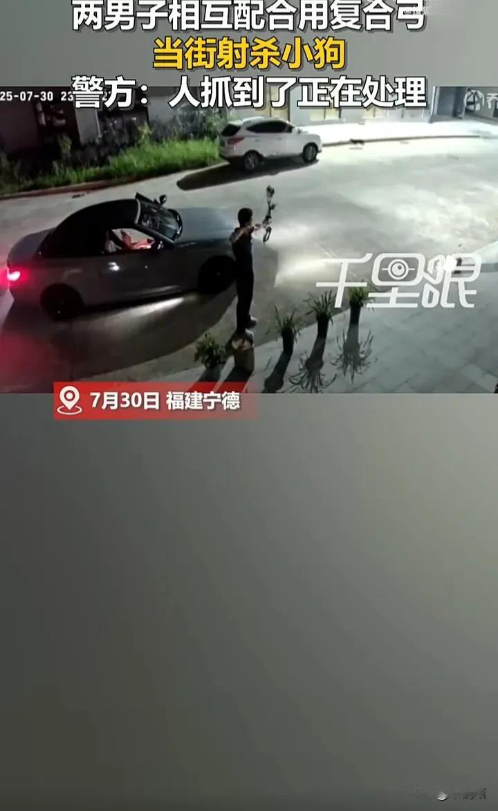 丧心病狂，必须严惩！近日，福建宁德一位网友发视频称，在点头镇街头，有两名男子相互