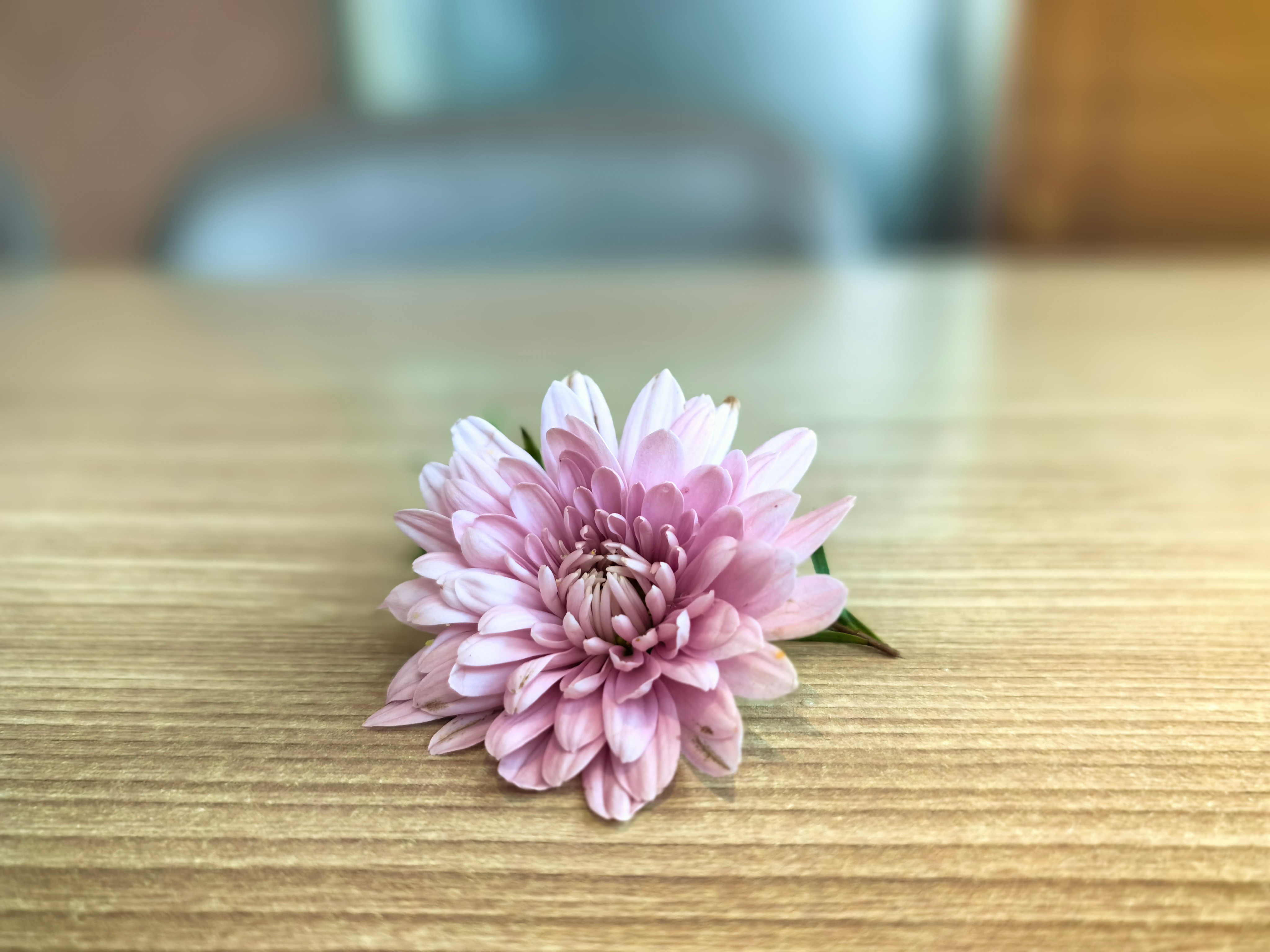 闲话投资1190孙子曰：昔之善战者，先为不可胜，以待敌之可胜。不可胜在己，可胜在