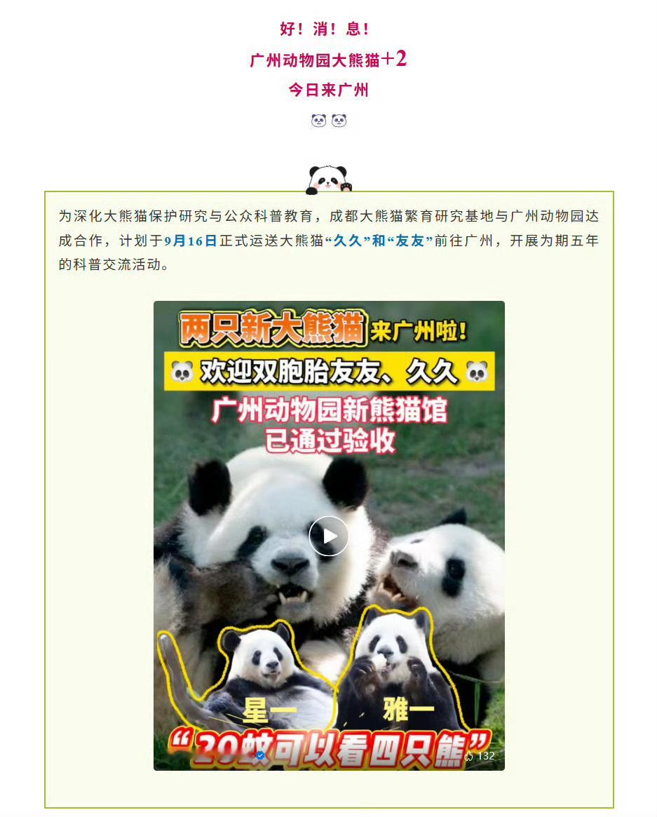 广州大熊猫最便宜5块一只2025年9月16日，大熊猫双胞胎“友友”和“久久”抵达