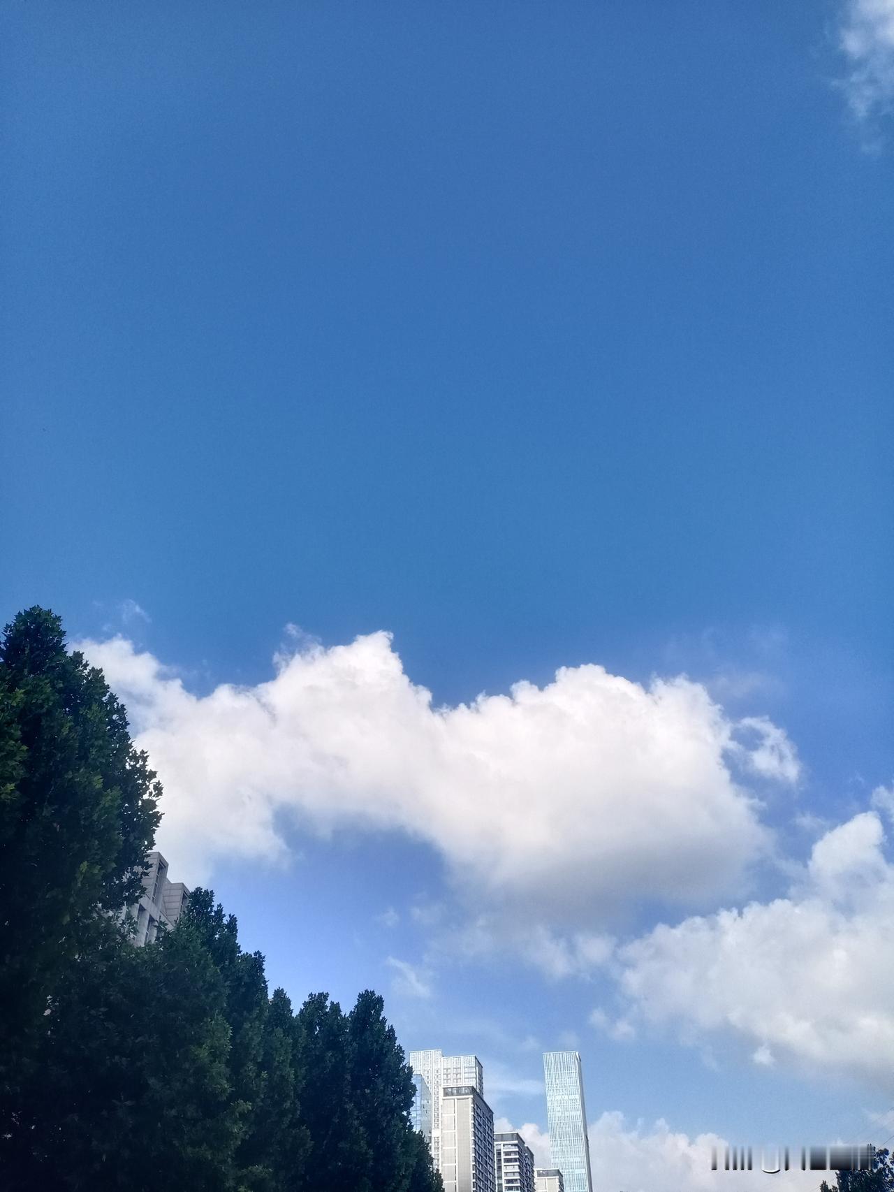 每天反复做的事情造就了我们，优秀不是一种行为，而是一种习惯。
——亚里士多德