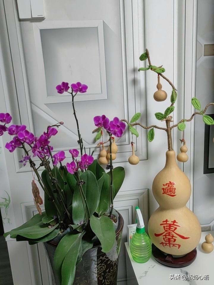 我是54岁的中年少女，有钱有闲有爱，大家羡慕吗？

1.有钱，其实钱也不多，每个