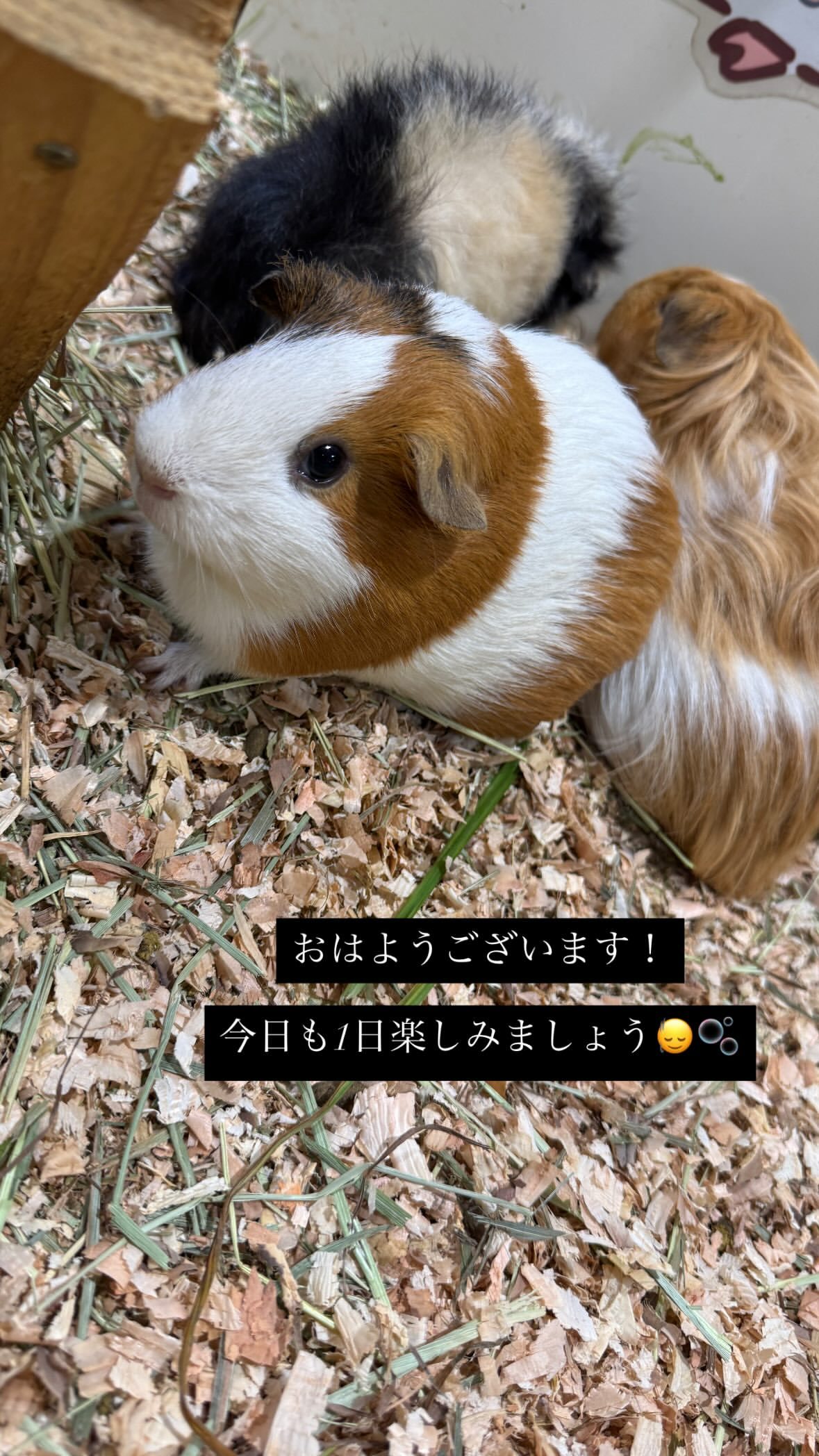 今泉佑唯 ​​​