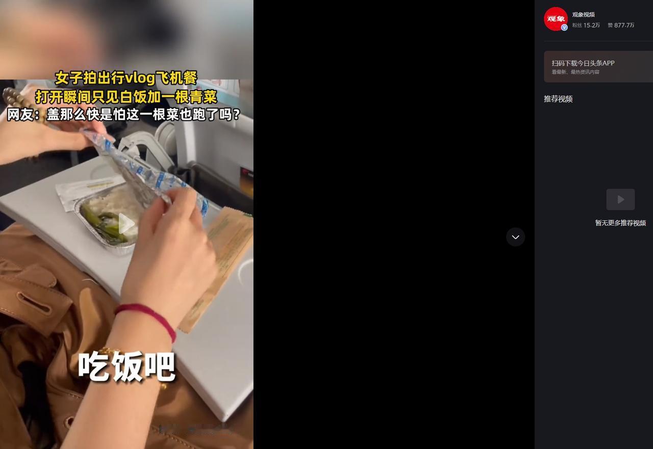 这个飞机餐只有一根青菜配米饭，
虽然我感觉可能是拍段子，
但此情此景，必须赋诗一