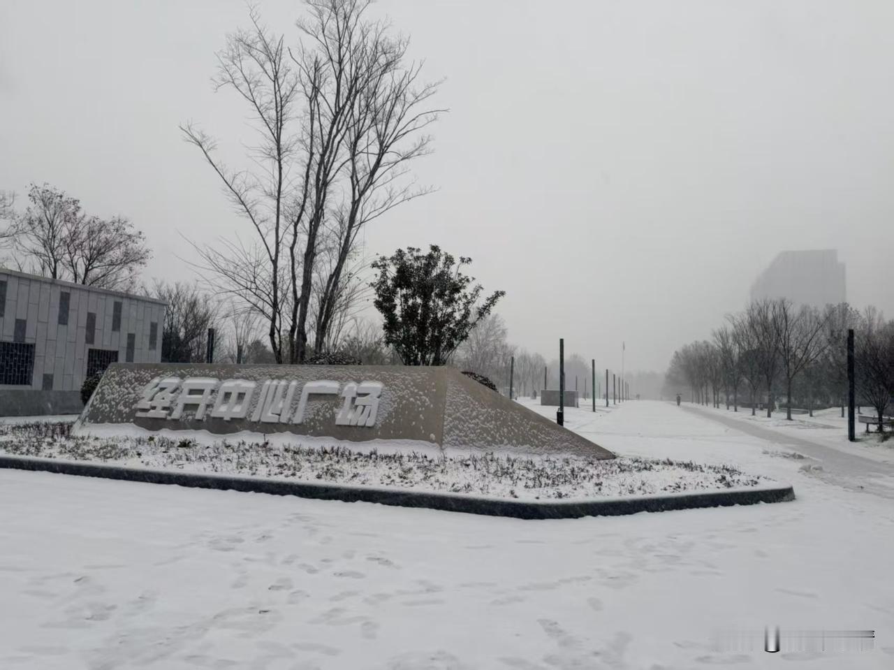 郑州的这场大雪终究没有下多久，

第二天果然结冰了，

毕竟温度已经零下几度了，