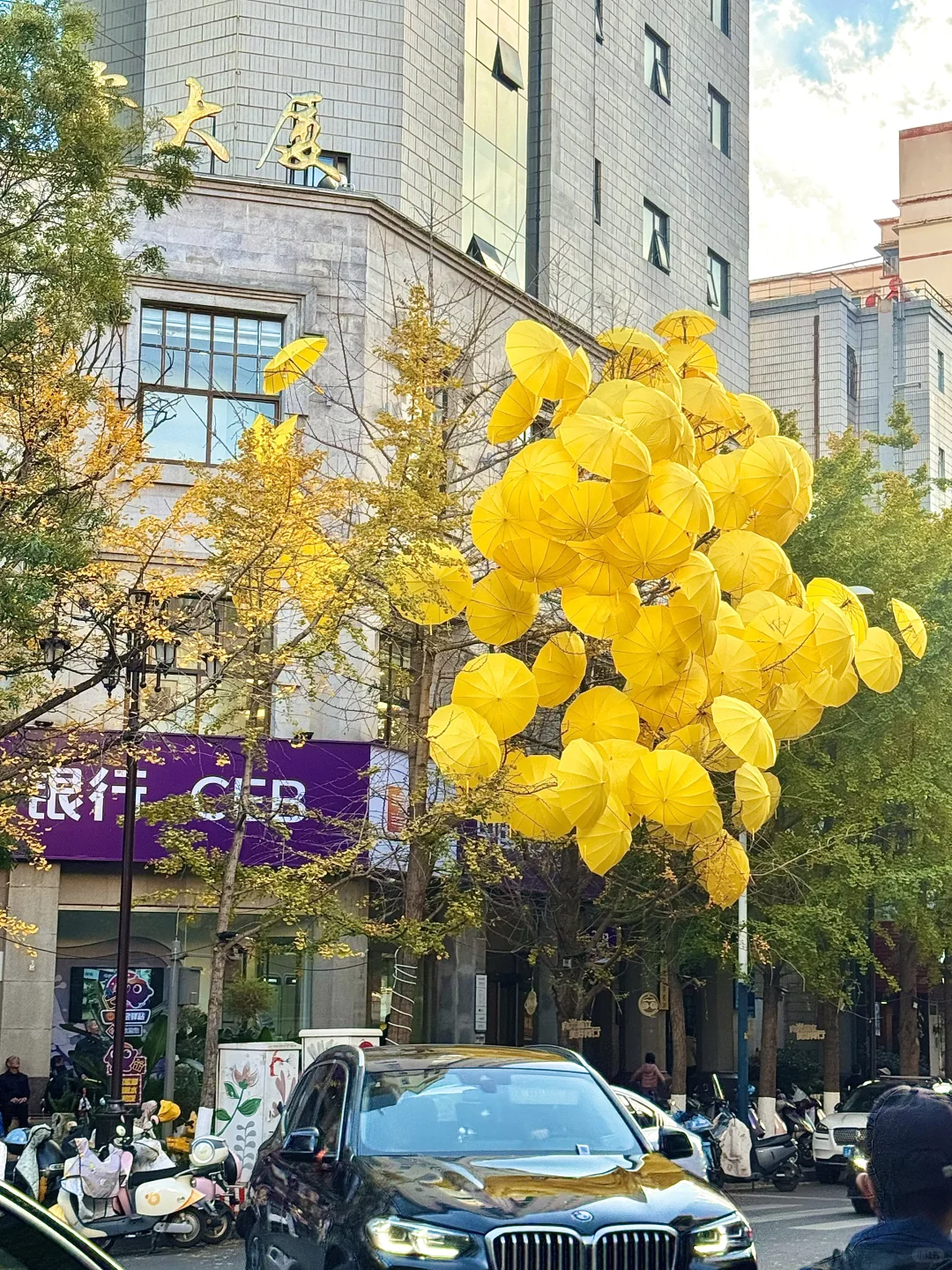 昆明文林街！！！美到犯规了。。。🥹🥹