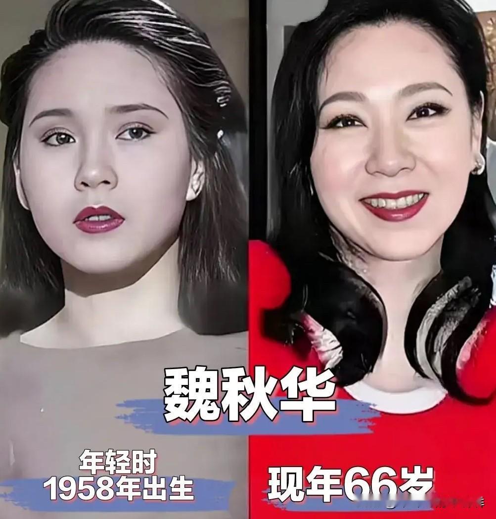 倪萍、刘雪华、胡惠中、魏秋桦、张芝华、李羚、温玉娟、刘冬、邱佩宁、肖雄，这十位1