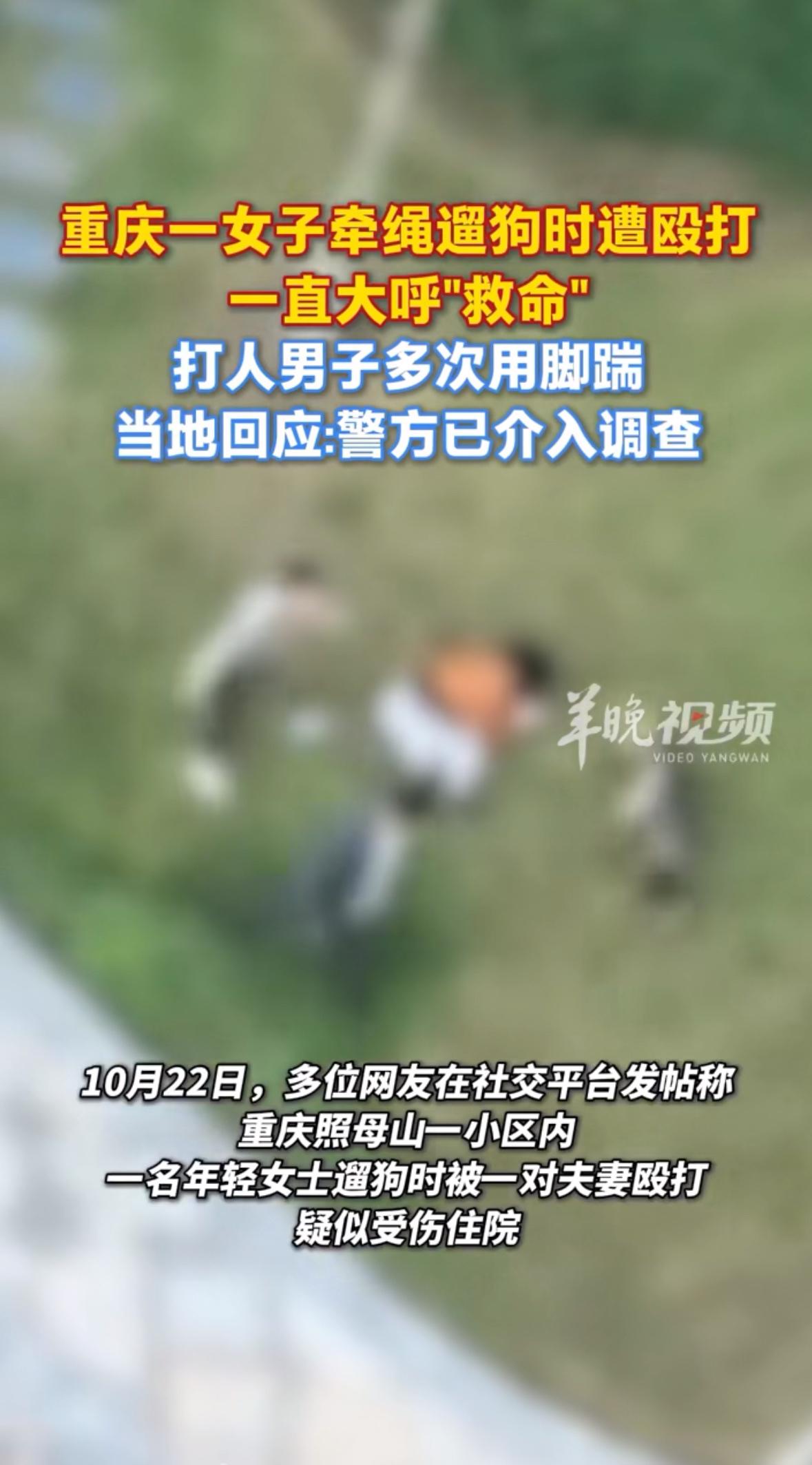 “救命！救命啊！”重庆照母山某小区的监控里，一个穿着棕色外套的女子被推倒在地，男
