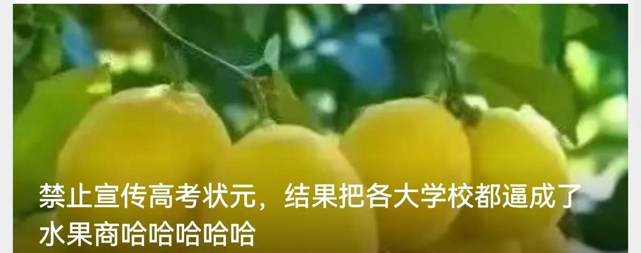 广西的名牌高中个个变成水果批发商或海鲜批发商，欢迎北上广高端酒店预订[捂脸][捂