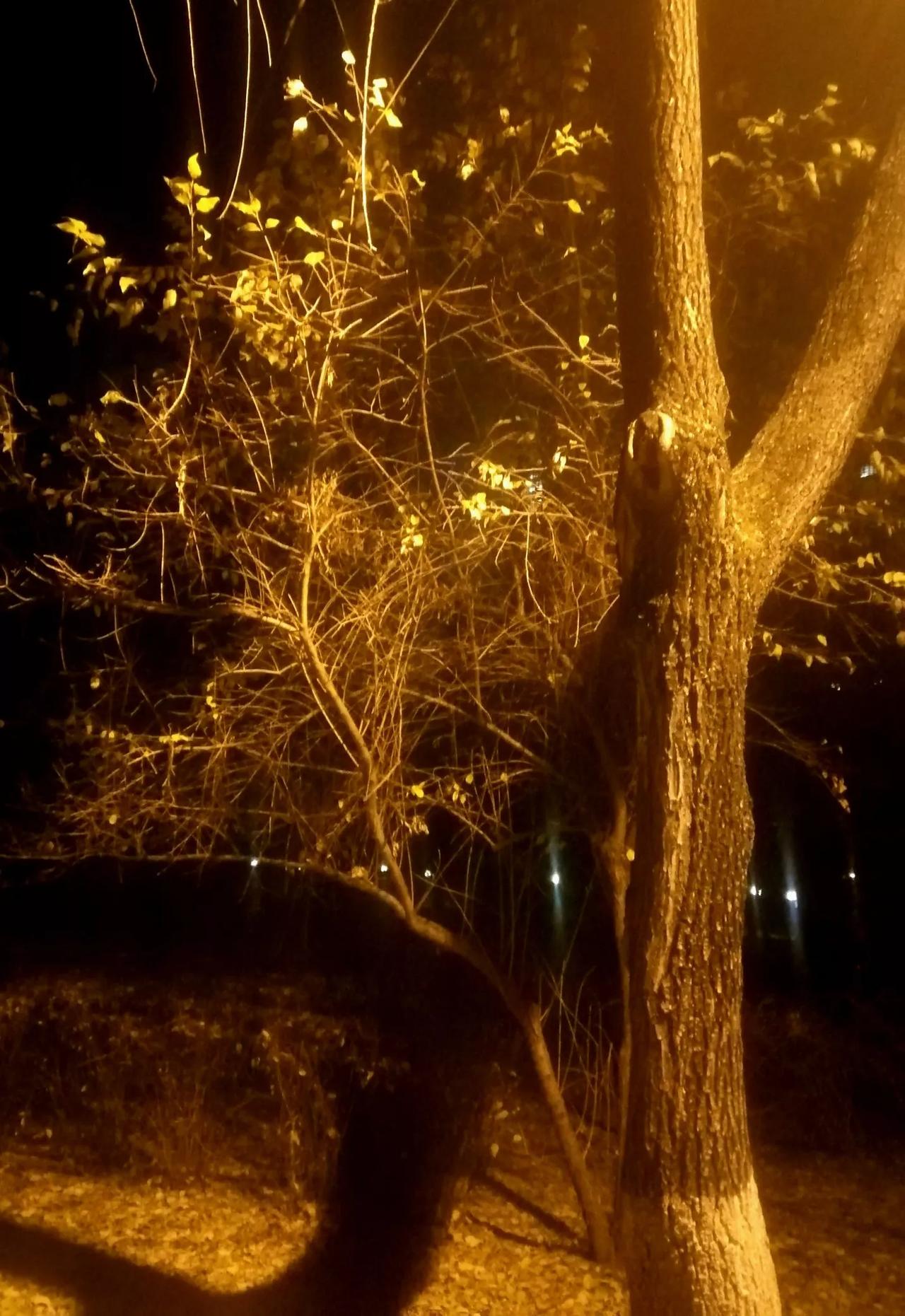 #你能发一张城市最美的夜景吗#
