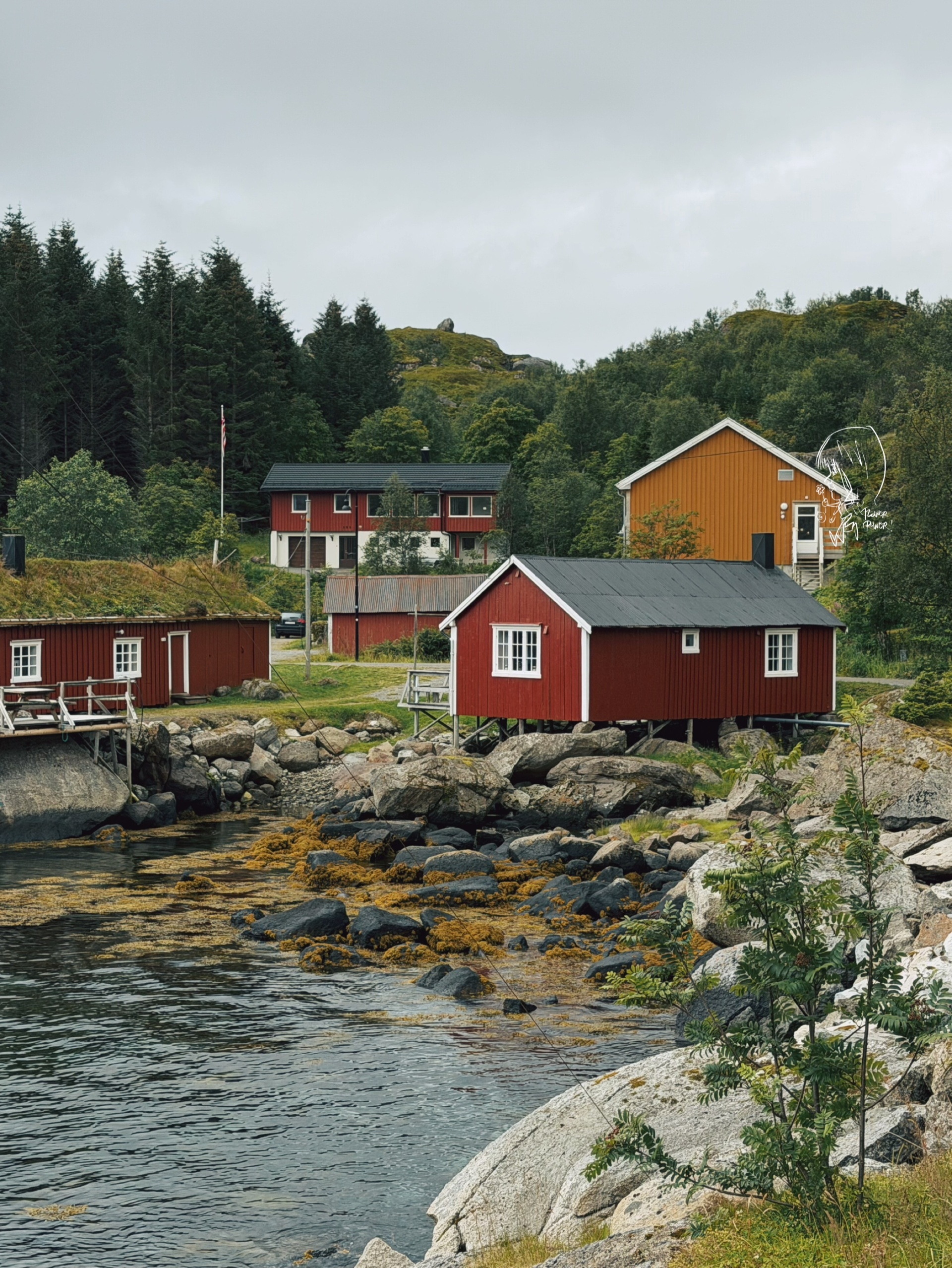2026夏游挪威北极  挪威Nusfjord  老渔村，Flakstadøya岛