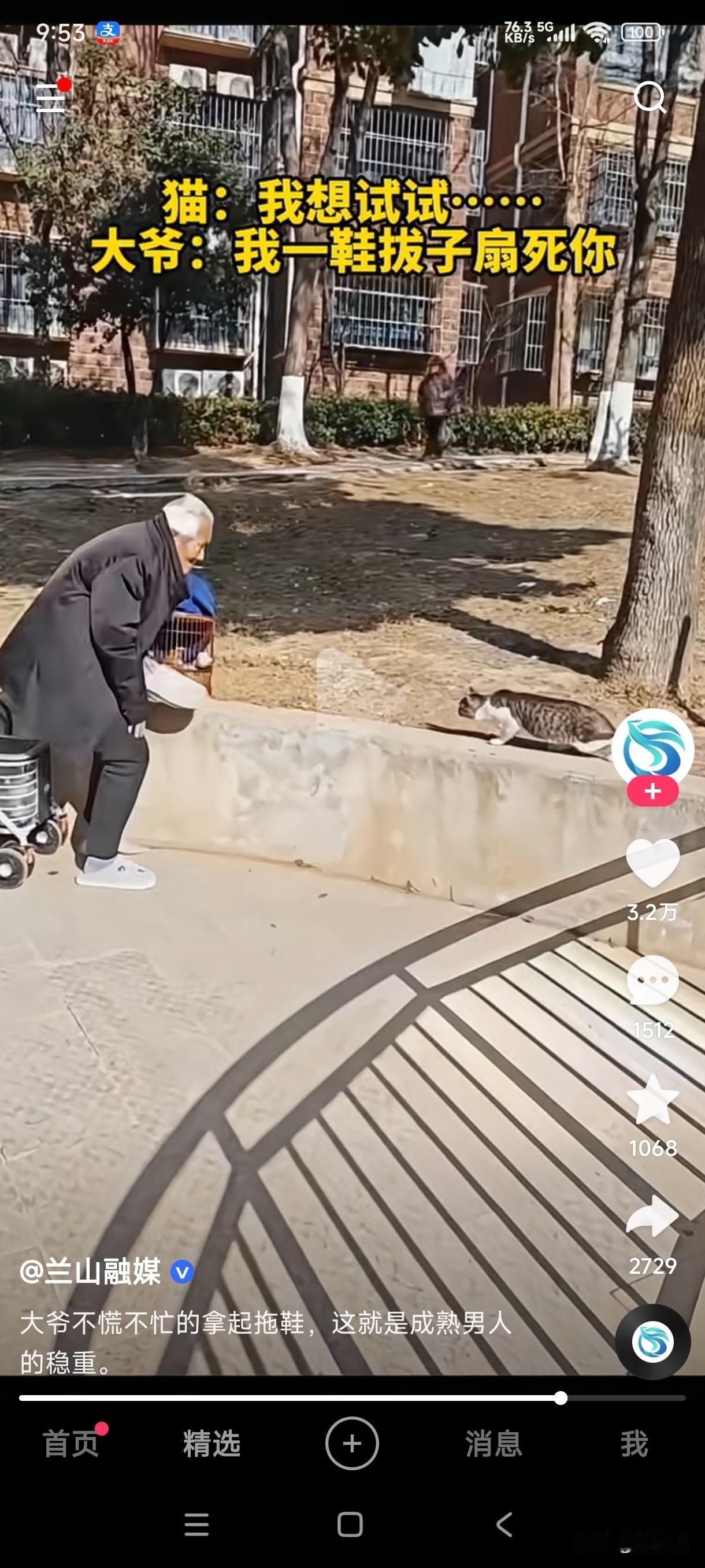 狸花猫看上了大爷笼子里的鸟，想以最快的速度捕获猎物美食一顿，在千钧一发之际行动时