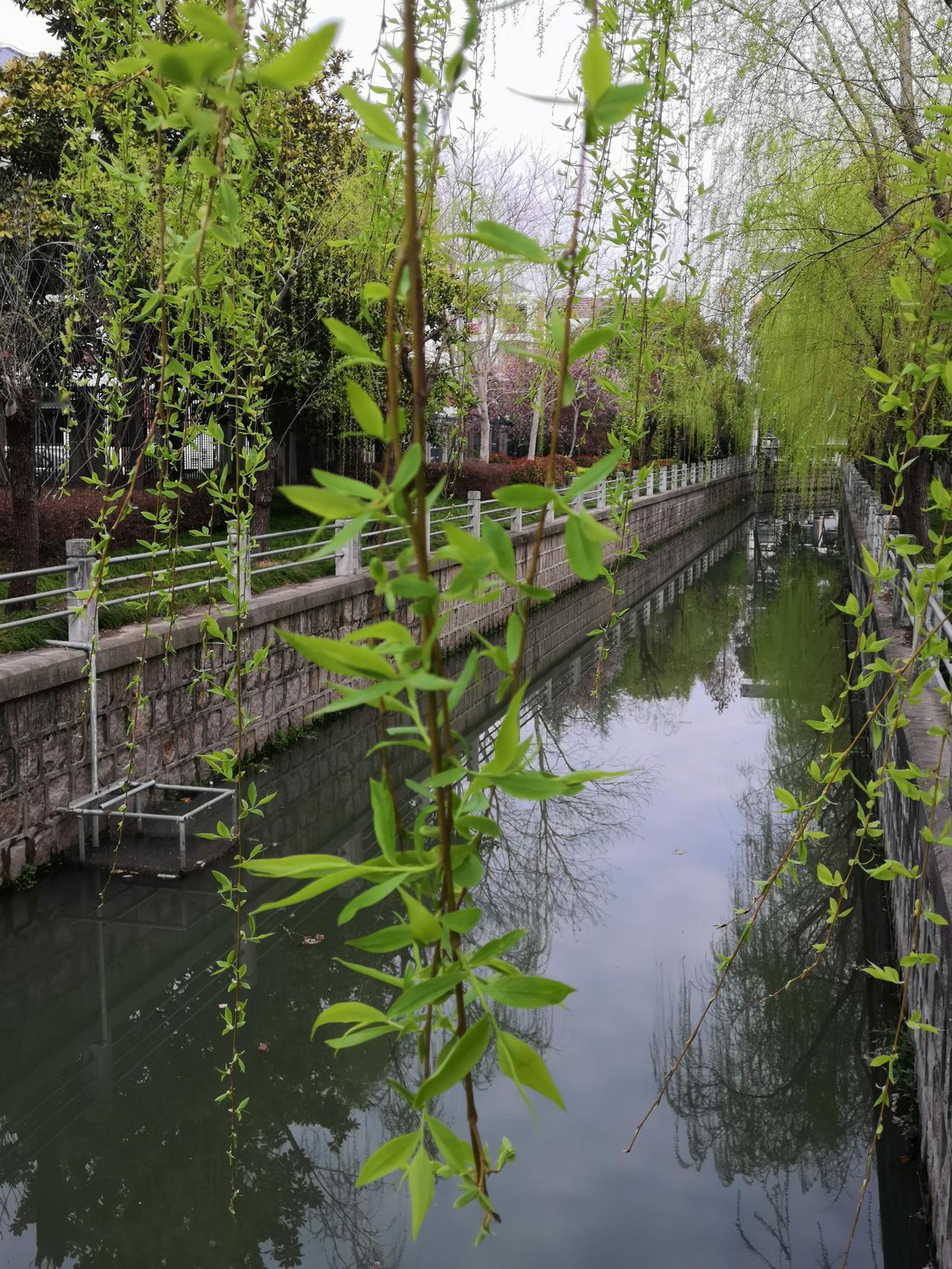 今天，上海天气挺冷的，体感凉飕飕的，我又穿上了羽绒服。看来我们还是不能太勤快，不