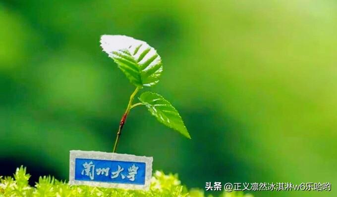 兰大教授做客金城讲堂解读中庸之道，这事儿太有意义了。
🍒中庸之道作为中国传统文