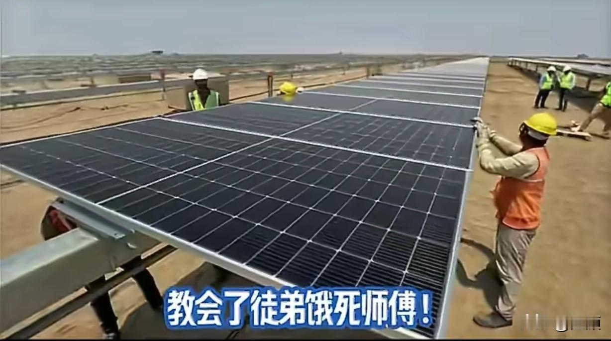 教会徒弟饿死师傅！印度光伏暴增17倍，正在抄底中国制造业饭碗…
当年太短视，如今