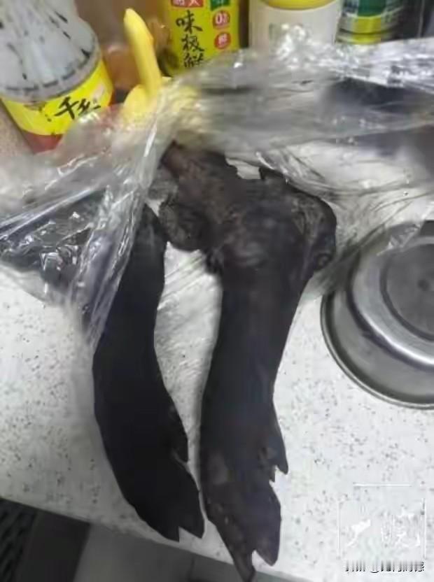 成都一个10岁的男孩，在吃猪蹄子的时候，不幸被卡住了喉咙，因抢救无效，孩子最后还