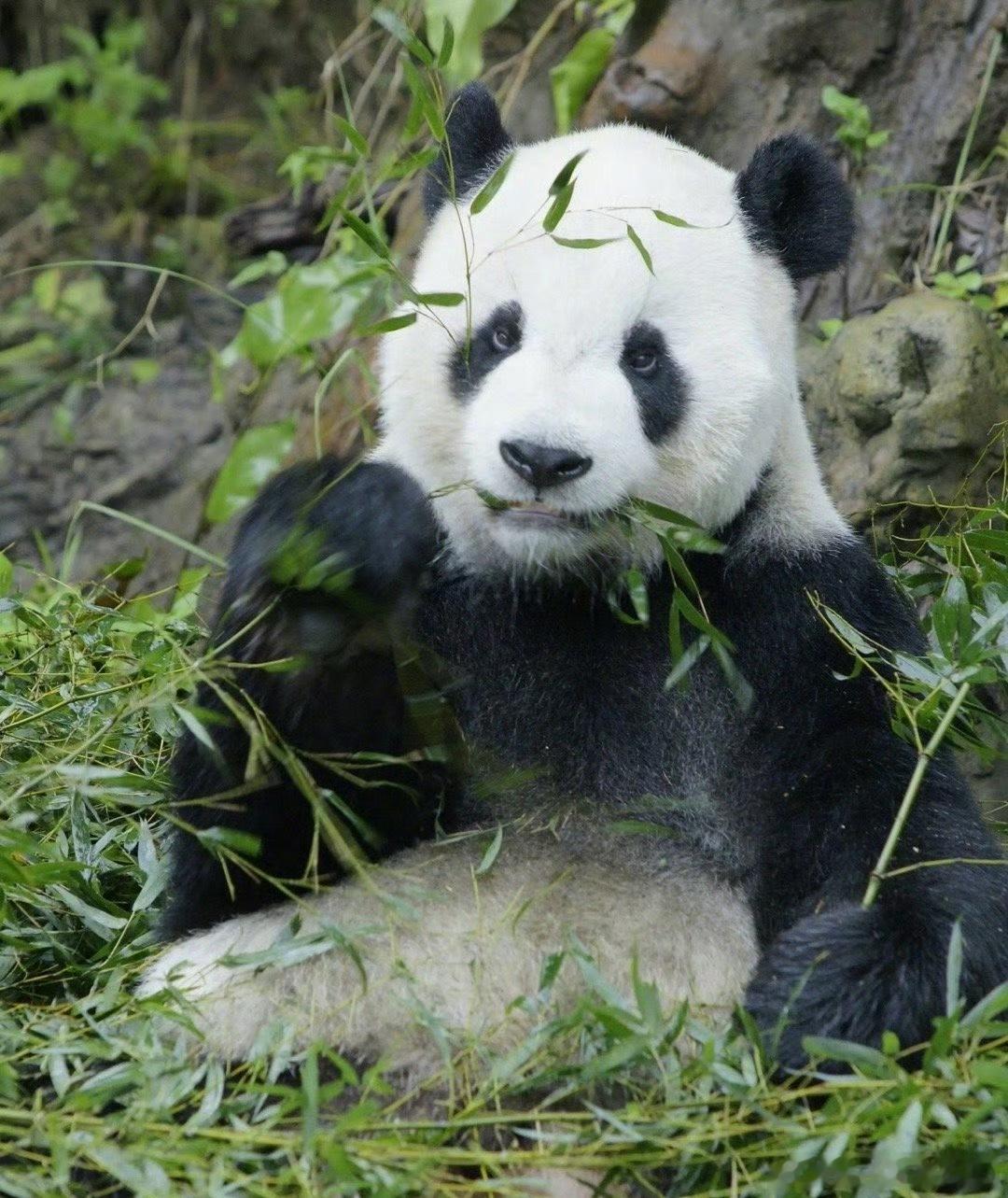 鸿星尔克宠粉现场人山人海不愧是国民大品牌，真的是太宠粉了，现场人山人海[憧憬]尤