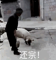 以后支持白宇粉丝四字粉丝投稿，本来我觉得好聚好散，老包皮不想让我好过，那你们也别