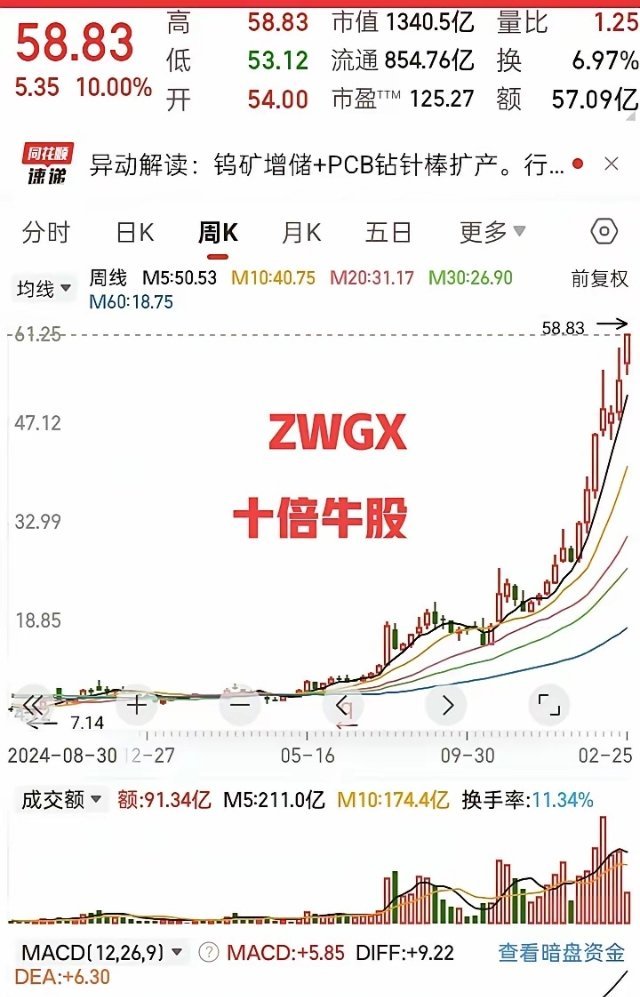 这才是牛股，悄悄的建仓，悄悄的上涨！看看周线已经涨了七八倍！目前还在继续上攻！打