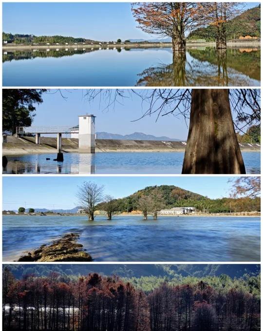 麻岙水库红杉林周末好去处
周末去哪儿 影像激励计划 黑白摄影 上虞区永和镇 麻岙