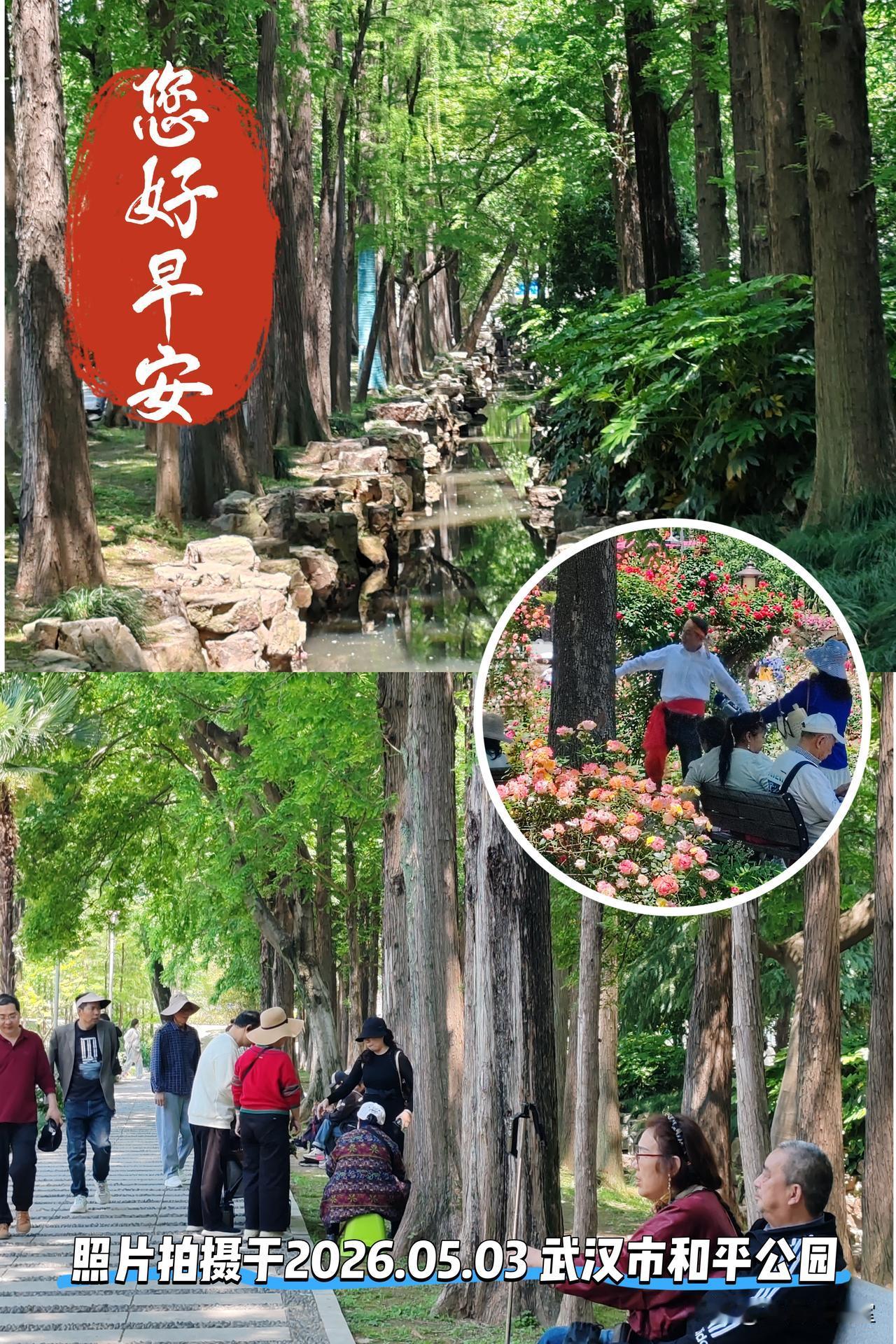 今天是五月三日，大家早上好！（另附诗一首）🍎🇨🇳🍎
春光旖旎入公园，
万