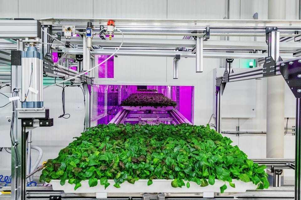 随着全球对粮食需求的不断增长，垂直农场正成为未来农业的关键组成部分。他们使用机器
