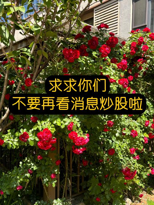 劝你们不要再追涨杀跌啦