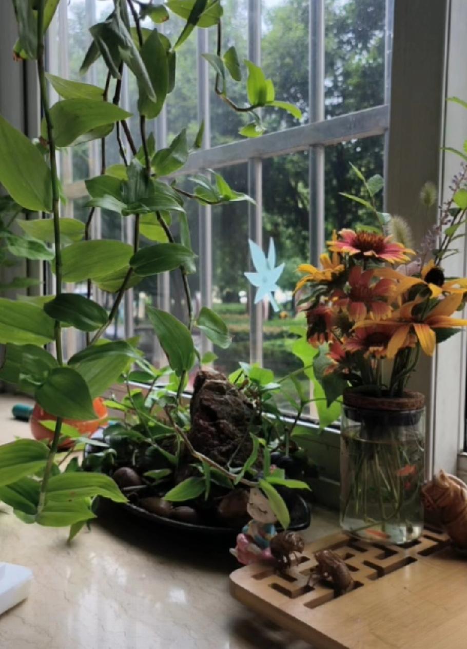 最近我也有点不坚定了，几乎要认为南南的策略快成功了。

尽管我大娘有假证假户假作