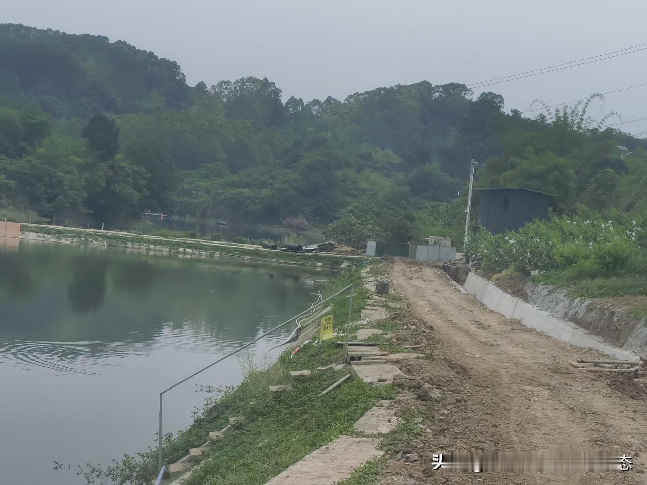 宁静湖畔，那简直是都市人心灵的避风港。上次我去了一个这样的地方，四周绿意盎然，仿