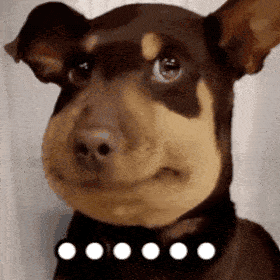 说个公开的秘密拍的那个烂剧片酬一个小目标＋ 