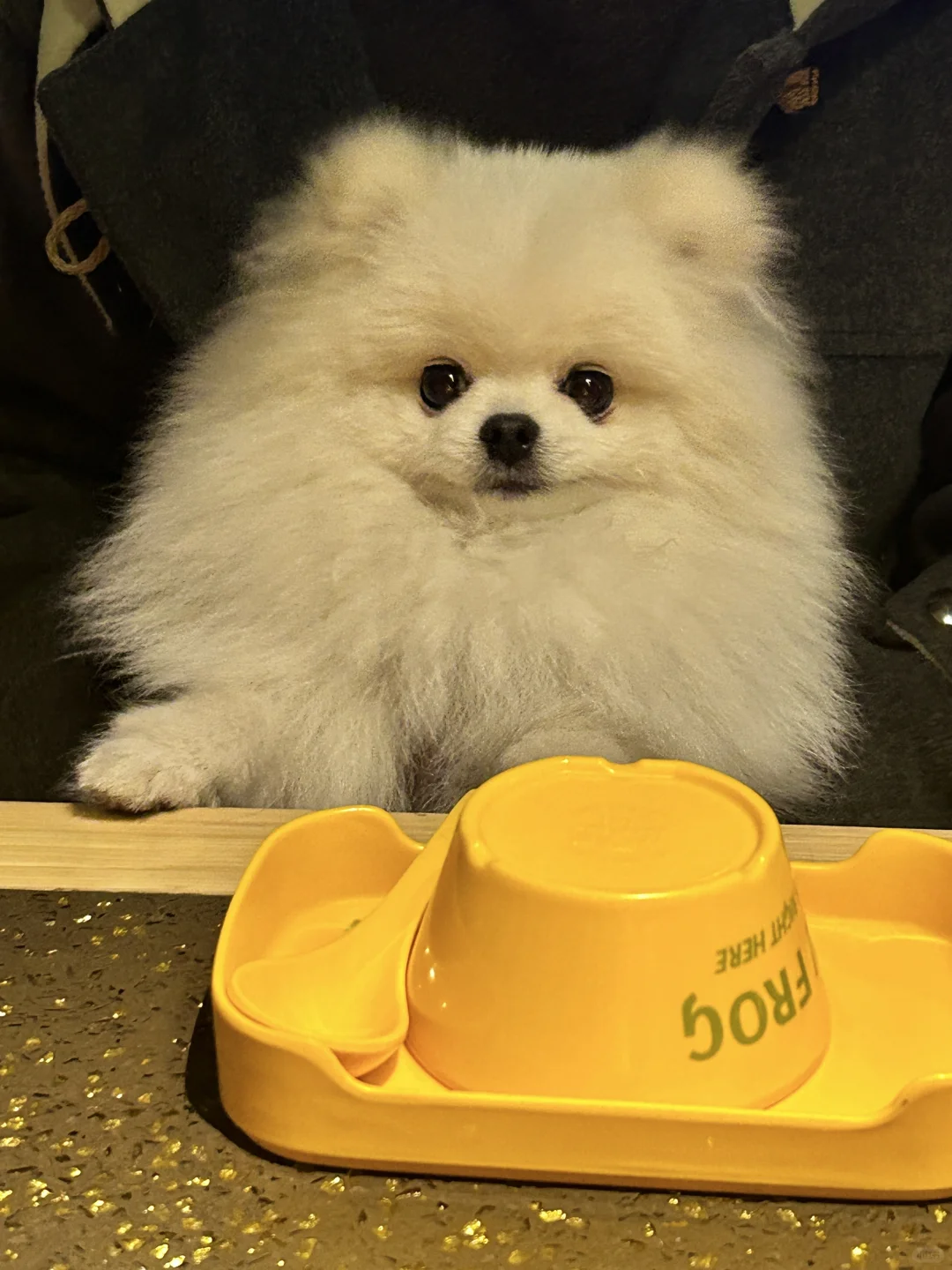 宝宝你是一只乖乖的小熊🍯