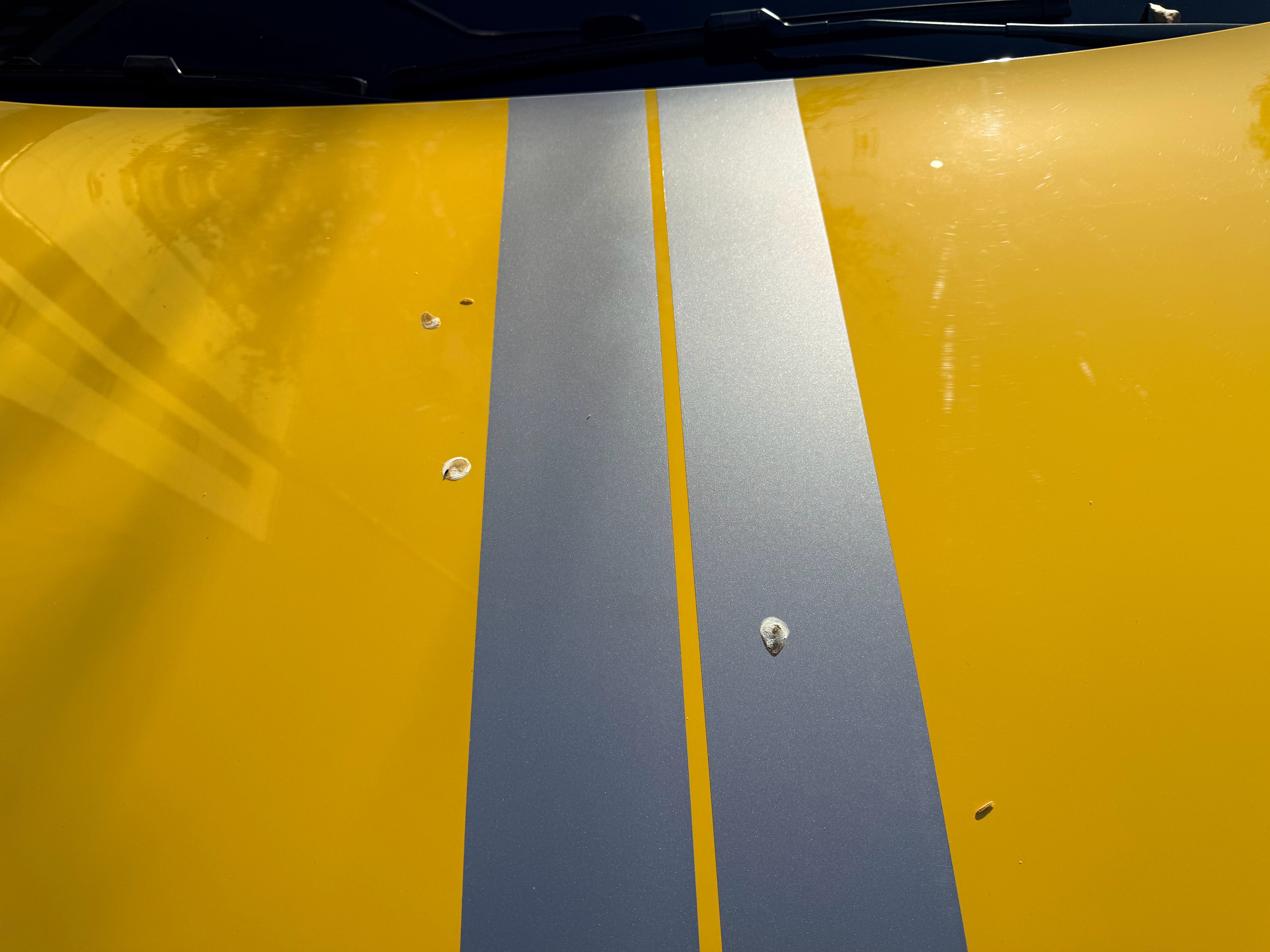 听说鸟粪是酸的？ 