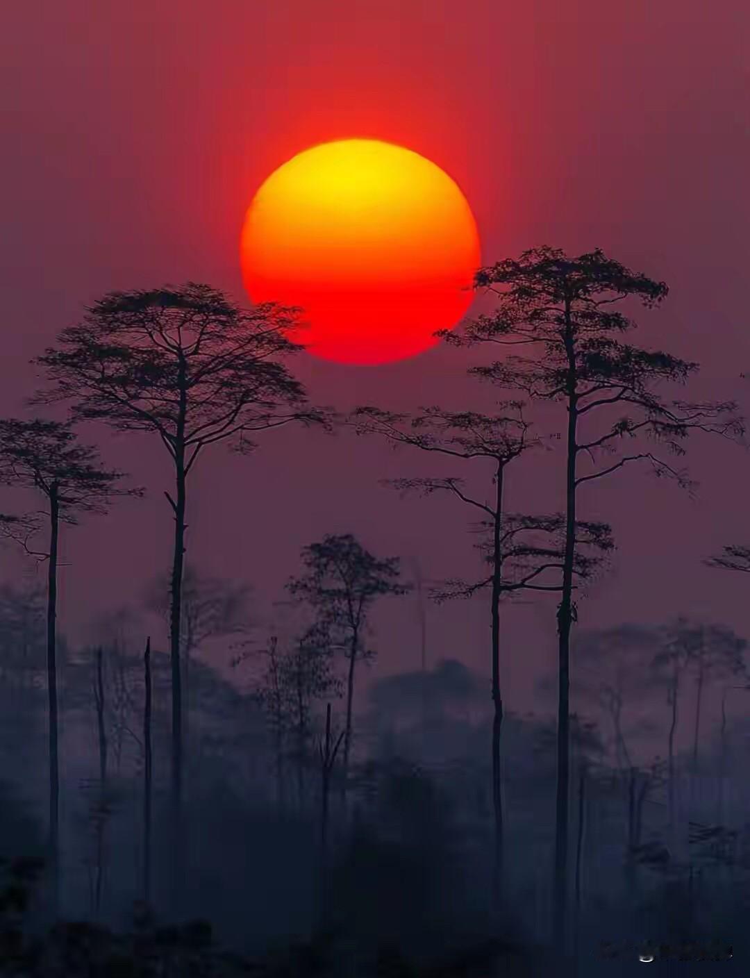 古巴裔的卢比奥如果真被特朗普任命为委内瑞拉总督管理这个国家。如果美国授予委内瑞拉