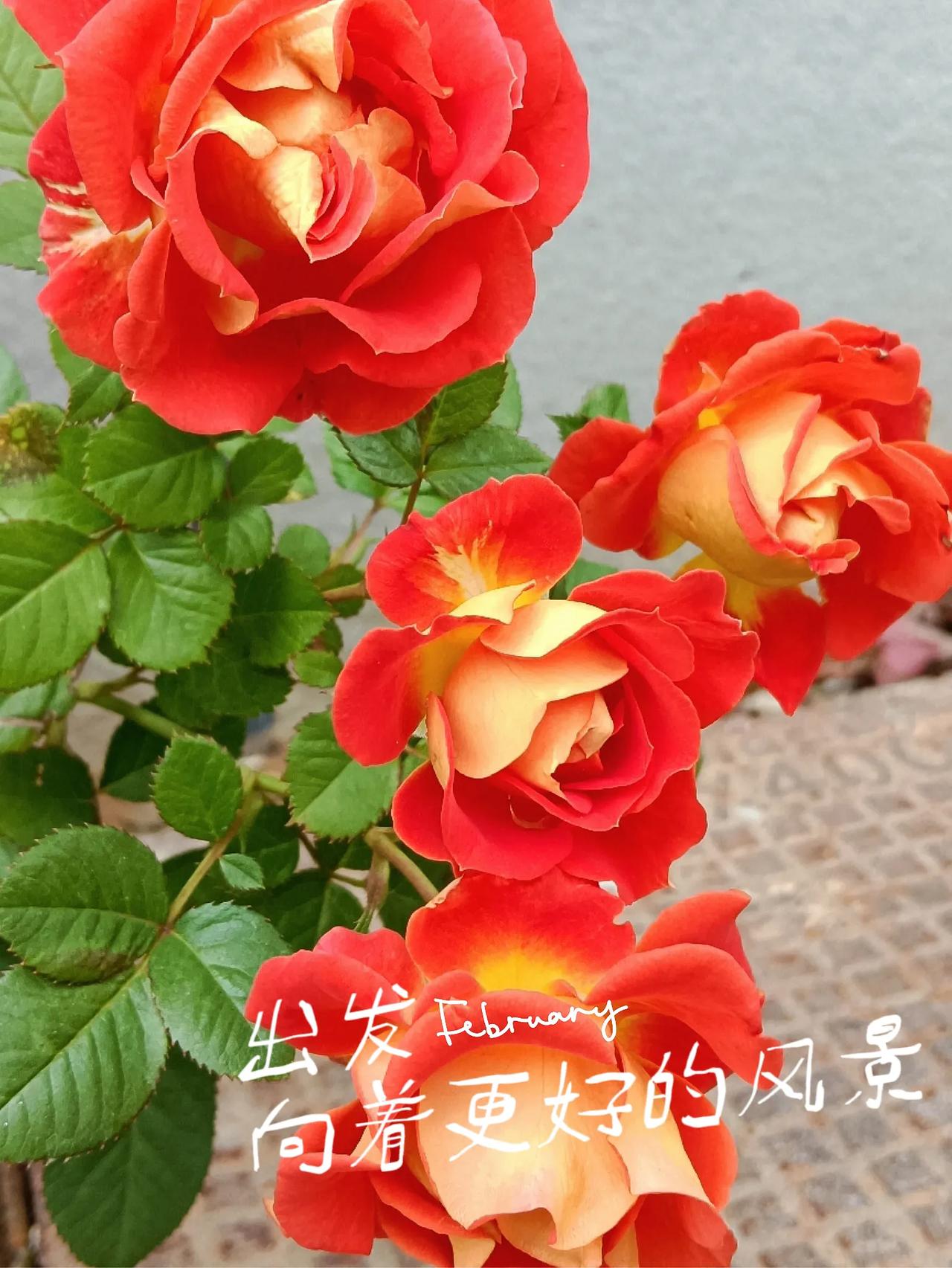一个国家强大的第一要素是什么一个国家的群体精神，求实务新，奋发向上，正义公平占绝