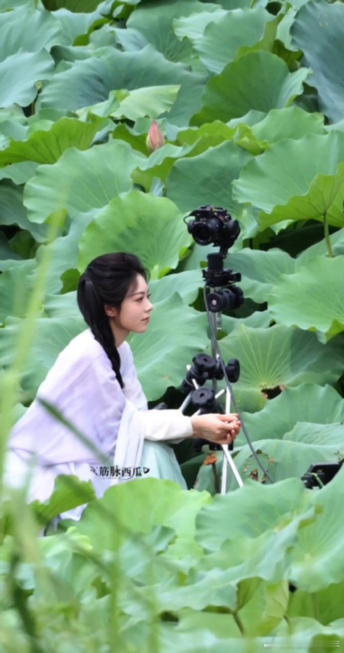 赵今麦出水芙蓉吾家有女初长成，赵今麦完全就是出水芙蓉啊~好大气的脸我那江南长大的
