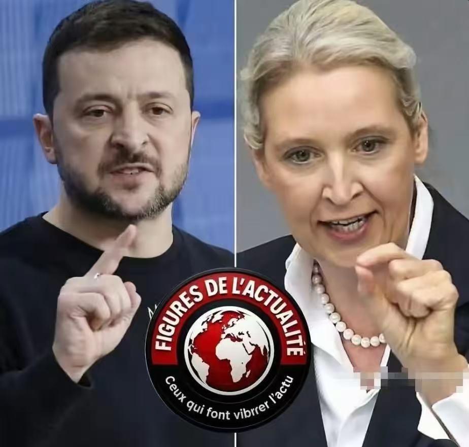 世纪丑闻！德国选择党领袖魏德尔揭露泽连斯基的隐藏离岸账户，并要求立即冻结数十亿资