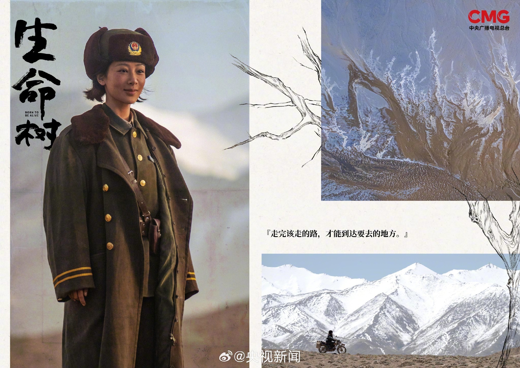 【转发期待！#生命树台词高清海报#】雪山为证，岁月为笺。戳↓一起看#生命树#台词