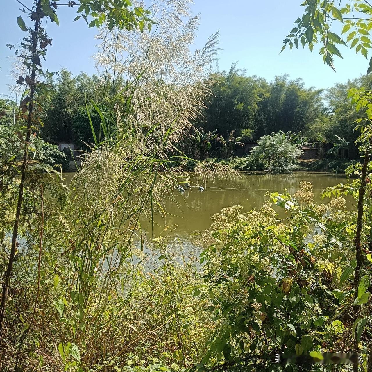 不要跟烂人烂事纠缠，不然，会破坏你身上的能量，影响你的运气的。
#秋日生活打卡季