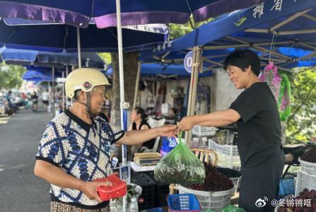 6月杨梅红台州精细治理护航果农增收路 六月天台杨梅丰收上市，当地城管前置谋划精细