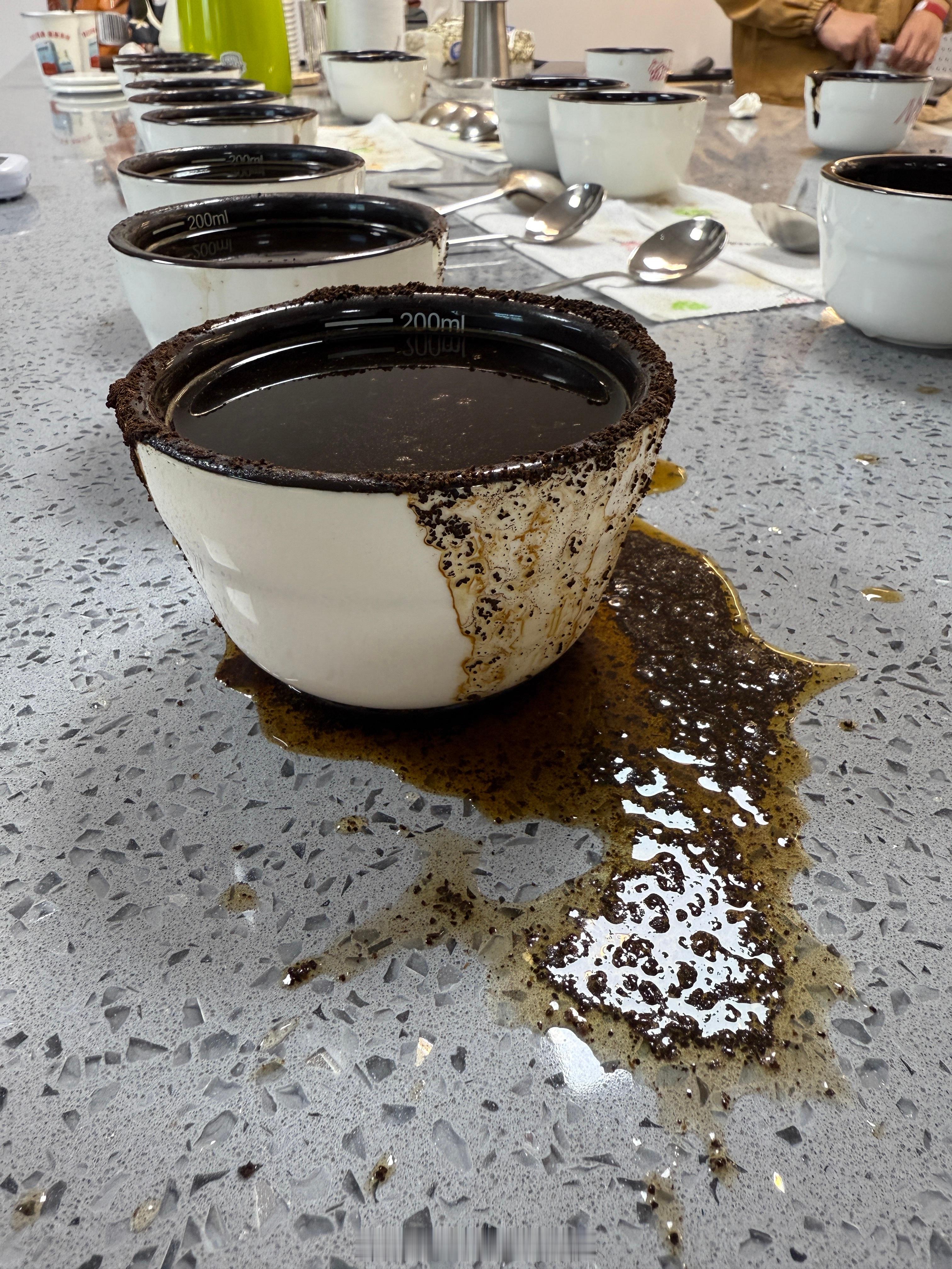 开启2026昨天终于杯测完，给2025的工作画上一个圆满的句号。见证了专业度，你