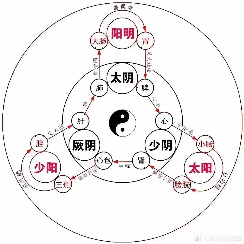 开鬼门，洁净府“鬼门”即指体表的汗毛孔。在宣肺发汗的过程中，即宣发肺气，通过皮毛