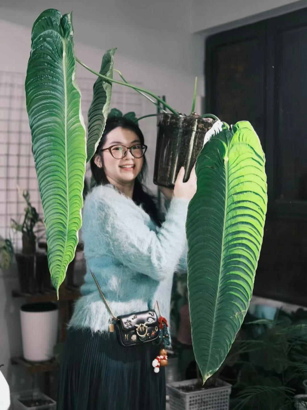 抱起了大大大火鹤王